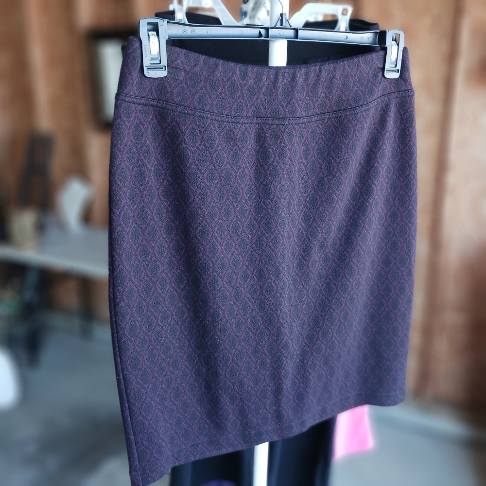 Beautiful Womans Pencil Skirt